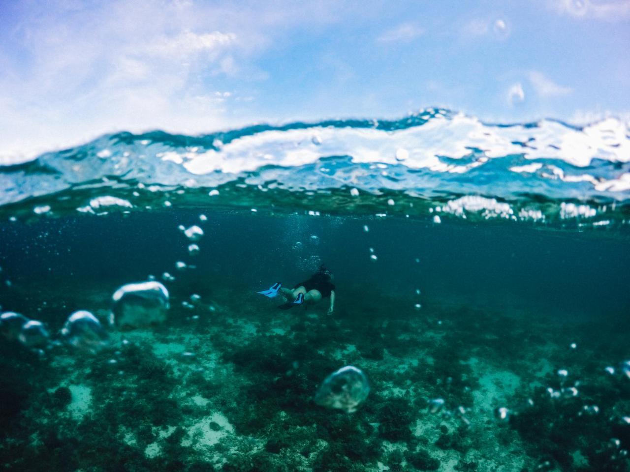 Turtle Bay Dive Resort Moalboal Luaran gambar